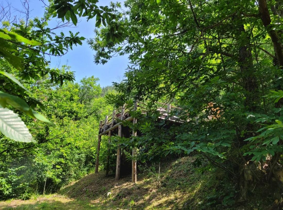 Maison d'hôtes Loz'aire Naturelle *
