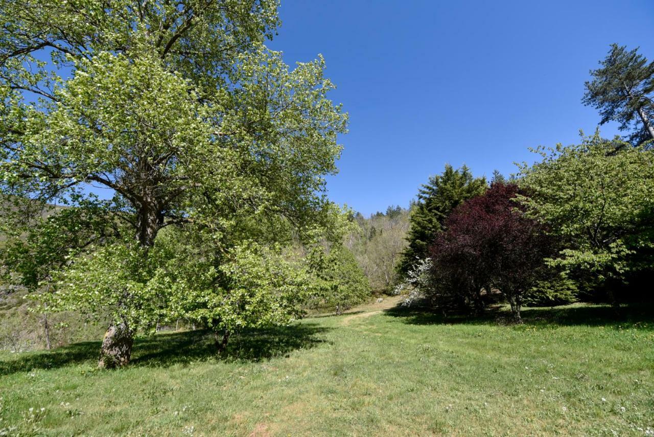 Loz'aire Naturelle Guest house Quezac (Lozere)